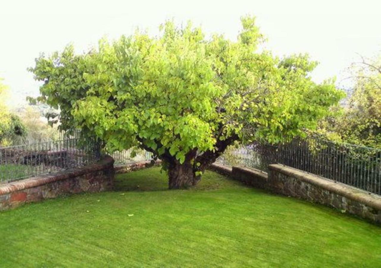 El Patio De La Morera El Rasillo Екстериор снимка
